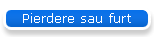 Pierdere sau furt