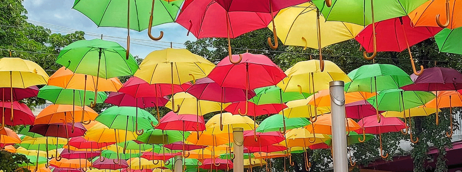 Eveniment cu umbrele in Ploiești